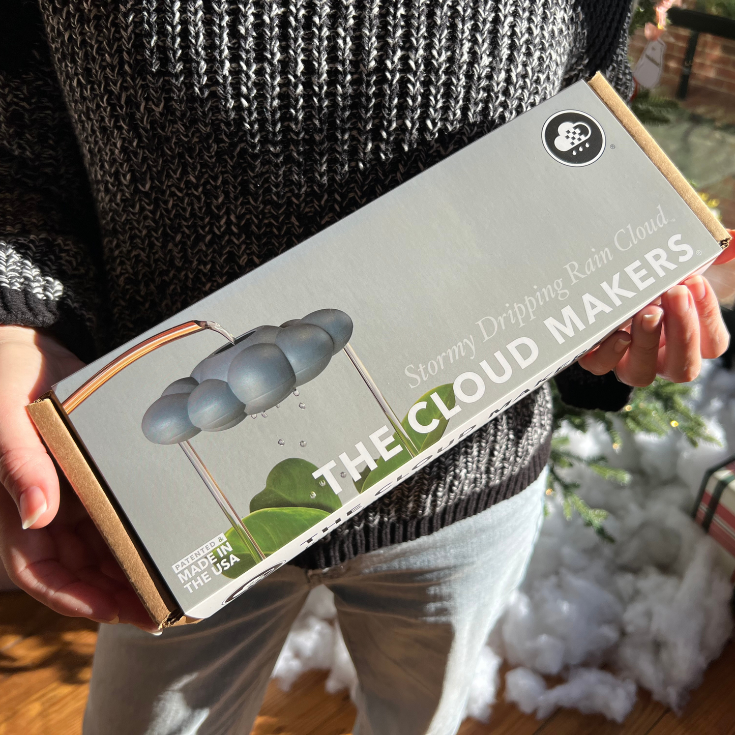 Person holding a box labeled 'The Cloud Makers' with a blurred background