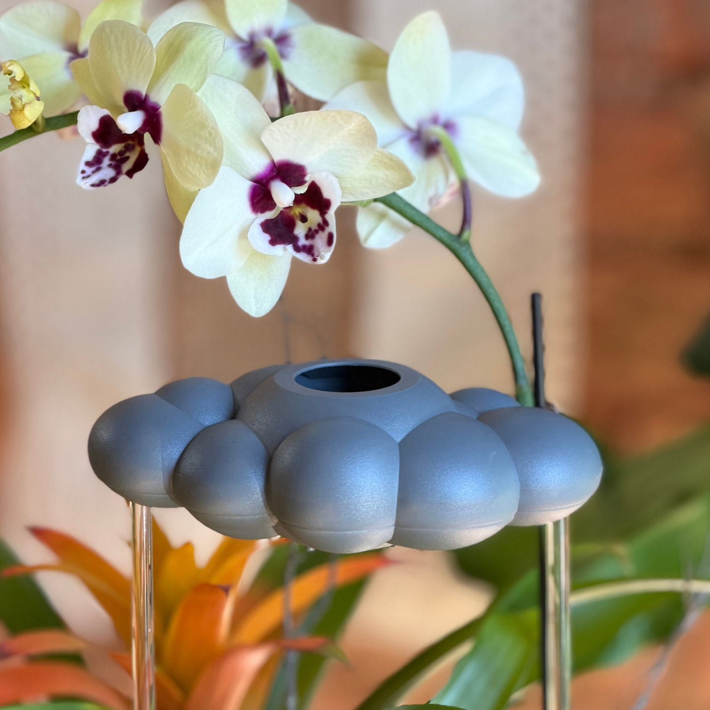 Stormy Dripping Rain Cloud with orchids