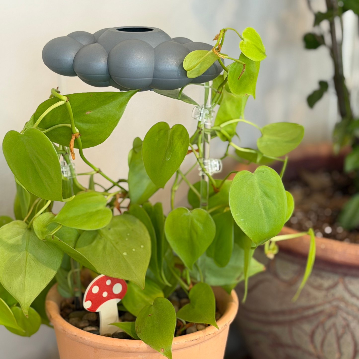 Stormy Dripping Rain Cloud for Retail (Case of 10)