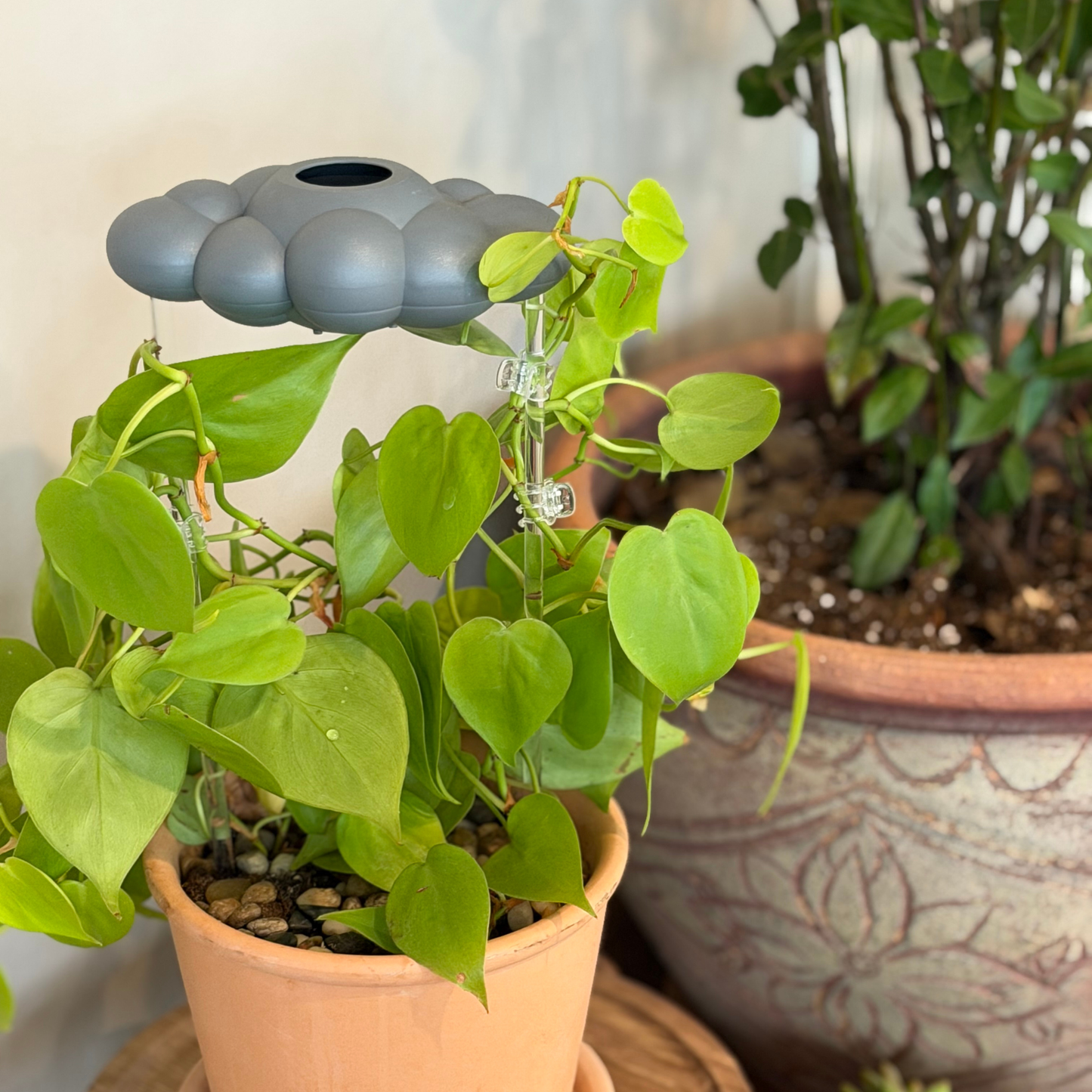 Stormy Dripping Rain Cloud for Retail (Case of 10)