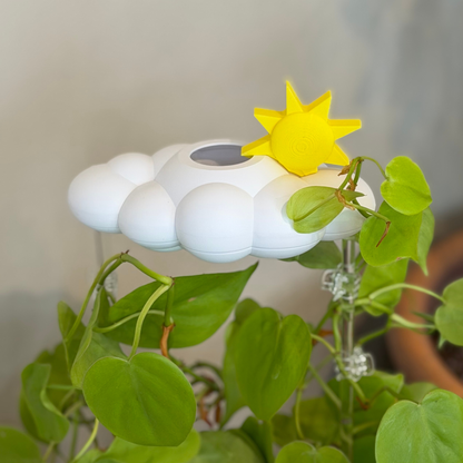 Sun Charm (5 pack)