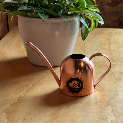 Watering Can (wholesale)