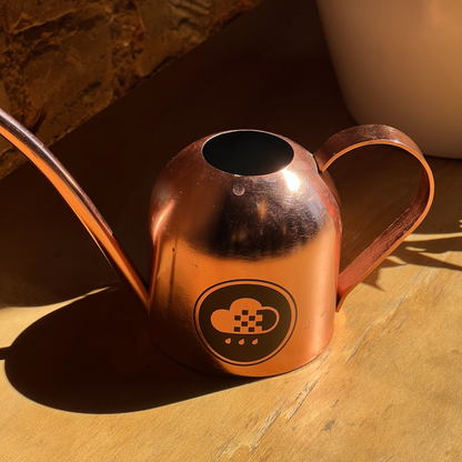 Watering Can (wholesale)