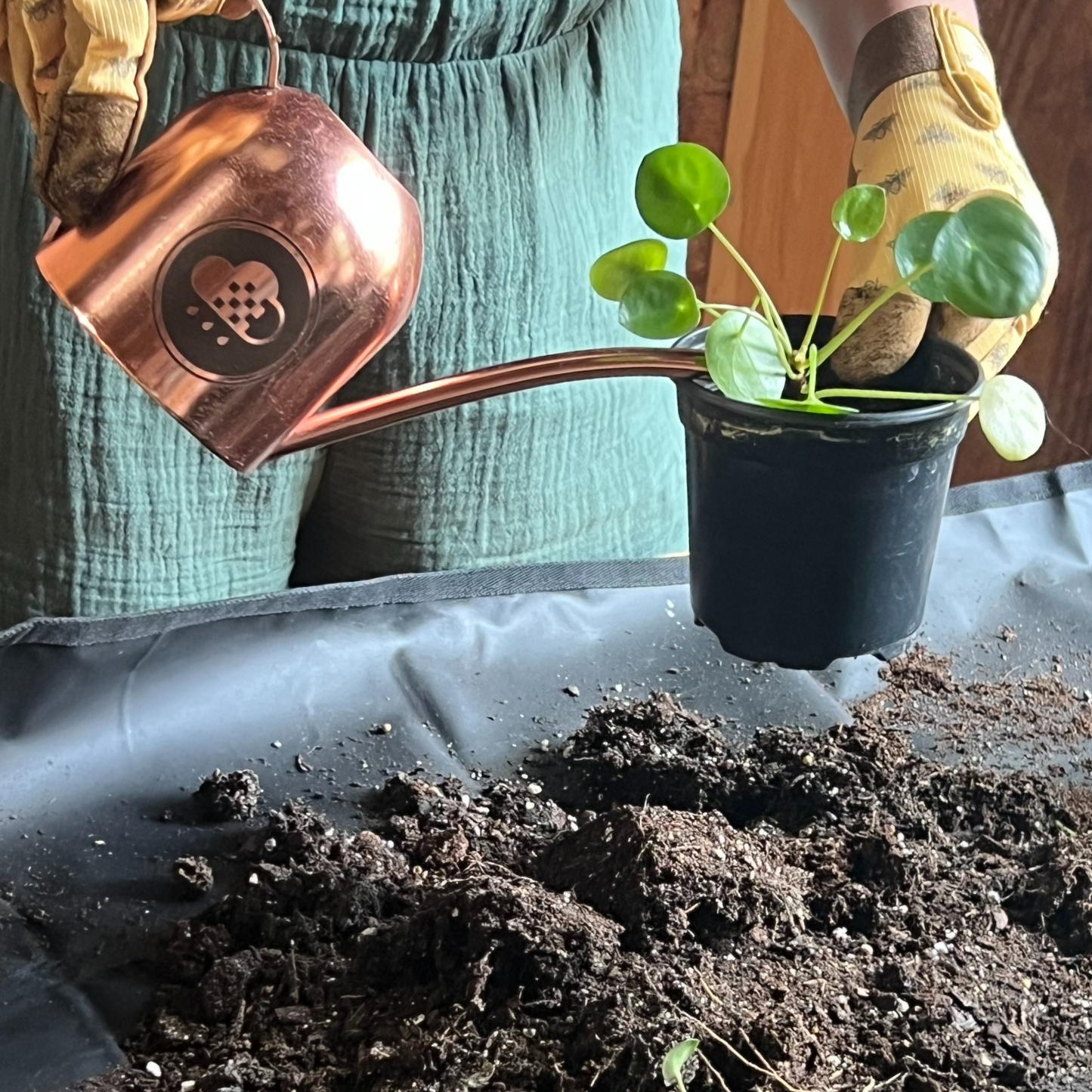 Watering Can (wholesale)