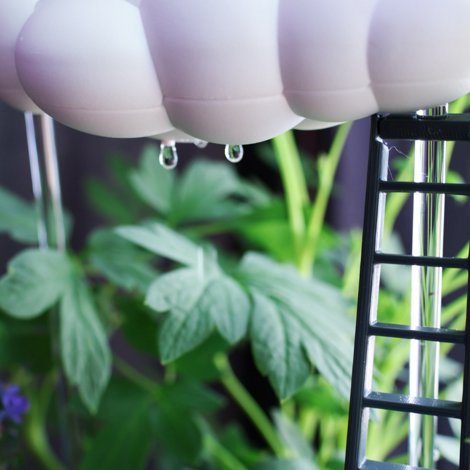 Original dripping rain cloud with ladder charm