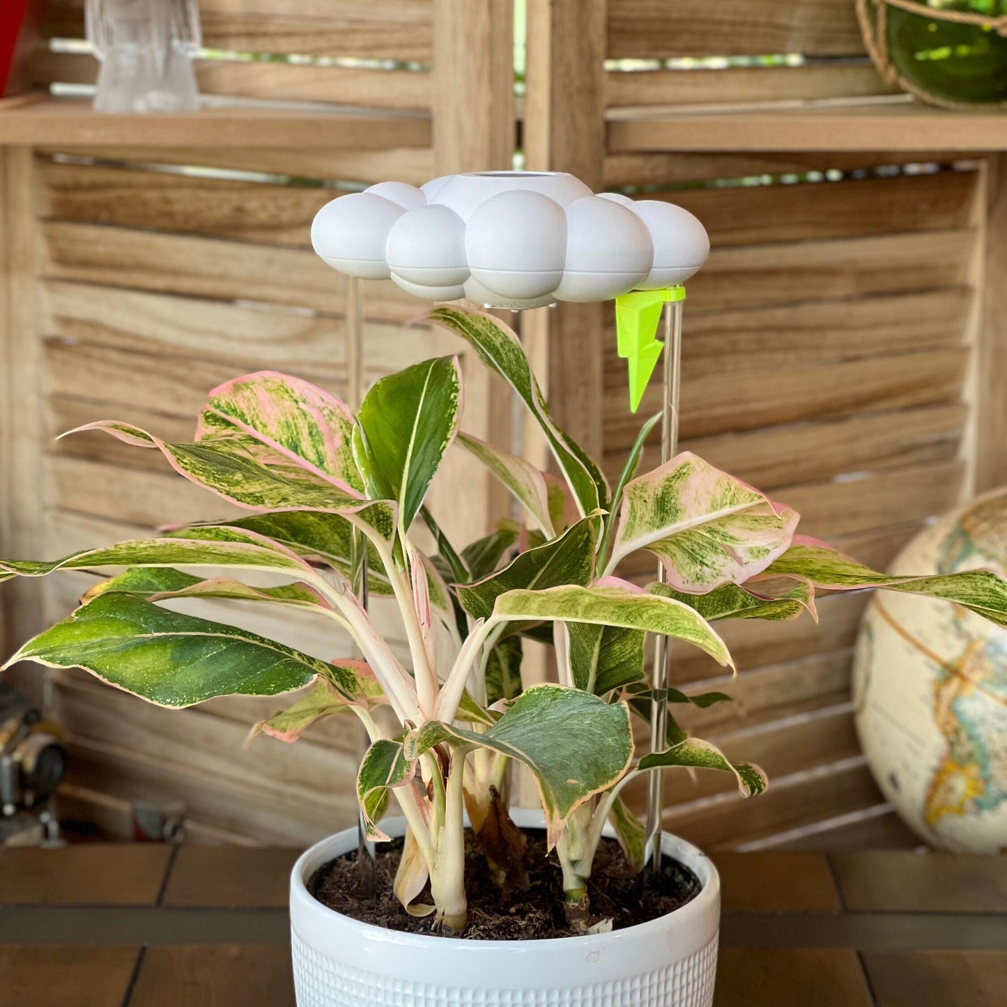 Original Dripping Rain Cloud with Neon Lightning Bolt Charm